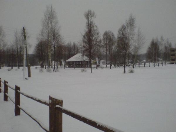 Лунёво. Январь - Февраль 2007