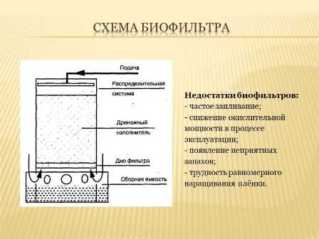 Биофильтры для очистки воздуха в растениеводческих комплексах